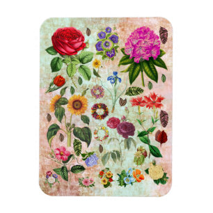 Vintage botanische Blume Illustrationen Naturkunst Magnet
