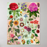 Vintage botanische Blume Illustrationen Naturkunst