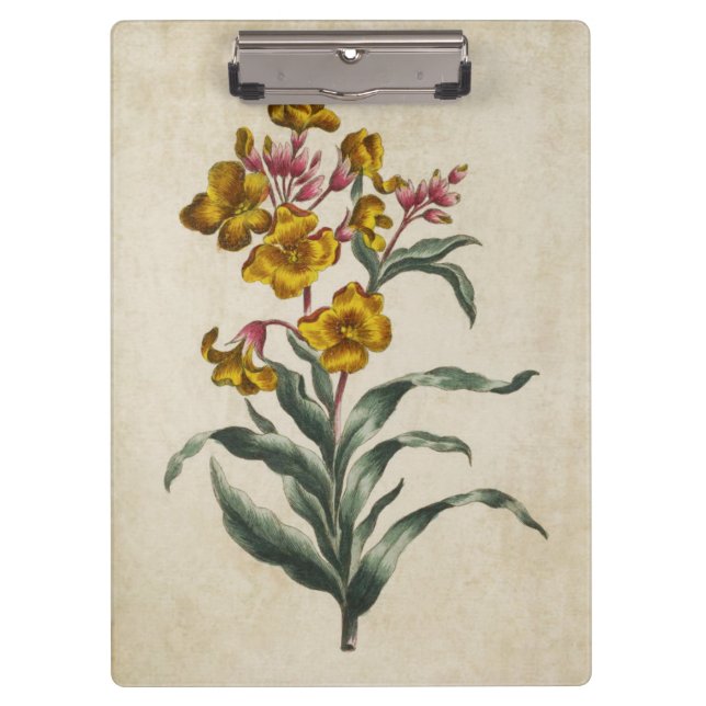 Vintage botanische Blume Klemmbrett (Vorderseite)