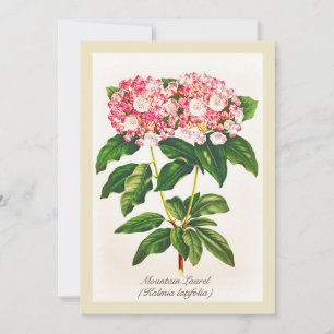 Vintage botanische Blume Laurel