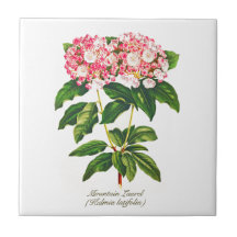 Vintage botanische Blume Laurel