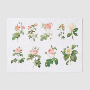 Vintage botanische Blume (nicht KI) Seidenpapier