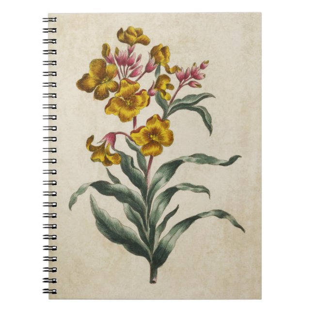 Vintage botanische Blume Notizblock (Vorderseite)