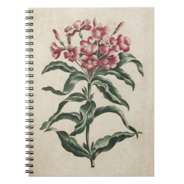 Vintage botanische Blumenbilder Notizblock (Vorderseite)