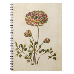 Vintage botanische Blumendarstellung Notizblock