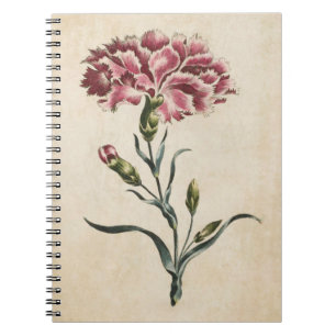 Vintage botanische Blumendarstellung Notizblock