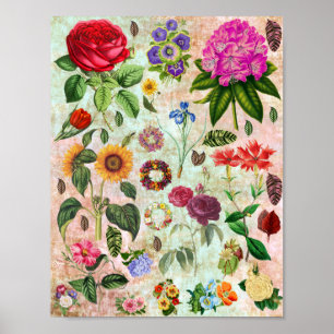 Vintage botanische Blumenillustrationen Naturkunst Poster