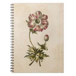 Vintage botanische Blütenanemonillustration Notizblock