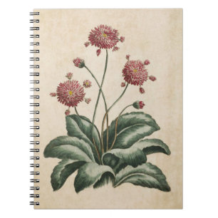 Vintage botanische Blütendarstellung Notizblock