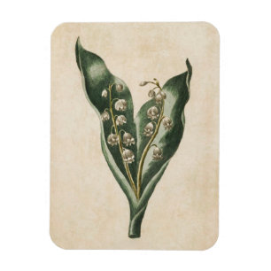 Vintage botanische Blütenlandschaft des Tales Magn Magnet
