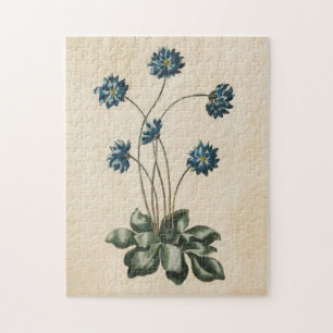 Vintage botanische Bluterkrankungen Puzzle