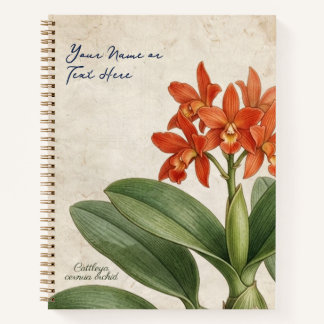 Vintage botanische Cattleya Cernua Orchideen-Blüte Notizbuch