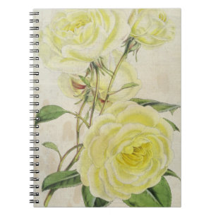 Vintage botanische Celine Forestier-Rose Notizblock