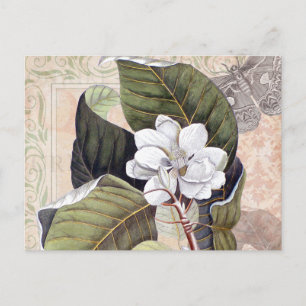 Vintage botanische Collage mit Magnolien Postkarte
