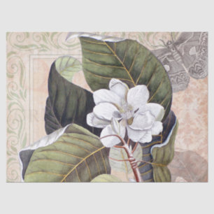 Vintage botanische Collage mit weißem Magnolium Seidenpapier