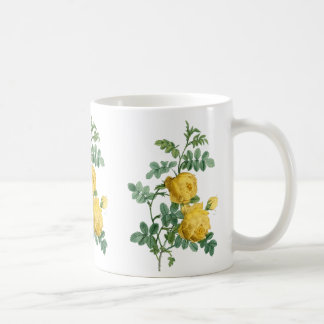 Vintage botanische Darstellung des Gelbroses Tasse