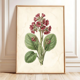 Vintage Botanische Farmhouse-Wanddekoration - Anti Poster