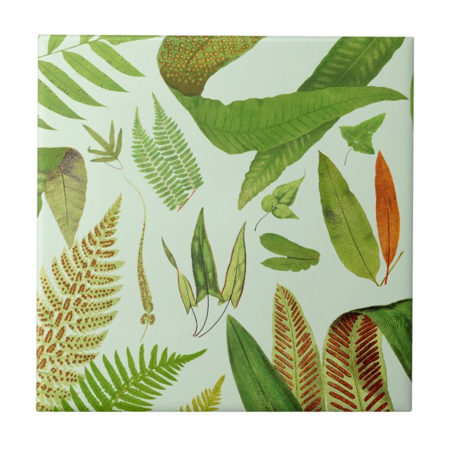 Vintage botanische Ferne Fliese (Vorderseite)