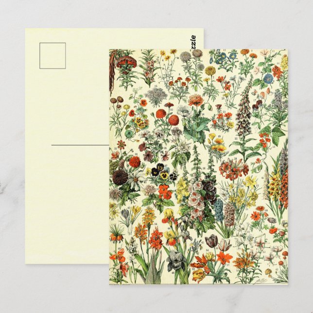 Vintage Botanische Fleurs Postkarte (Vorne/Hinten)