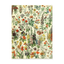 Vintage Botanische Fleurs Postkarte