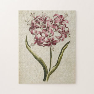Vintage botanische Floral Guernsey Lily Puzzle