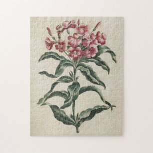 Vintage botanische Floral Lychnidea Puzzle