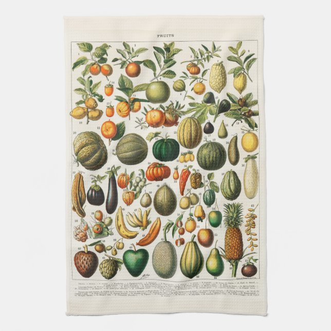 Vintage botanische FruchtIllustration Geschirrtuch (Vertikal)