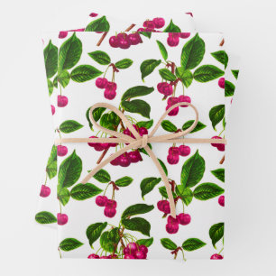 Vintage botanische Fuchsia-Rosa-Kirschen drucken Geschenkpapier Set