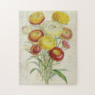 Vintage Botanische, gekrümmte Everlastings Puzzle