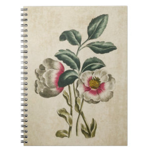Vintage botanische Hellebore-Illustration Notizblock