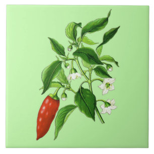 Vintage botanische Illustration, Chili Pepper Fliese