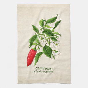 Vintage botanische Illustration, Chili-Schote Geschirrtuch