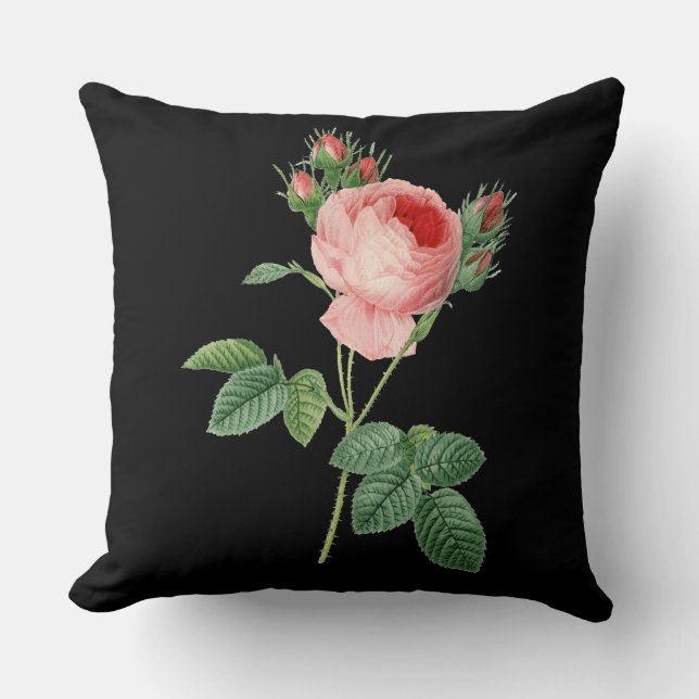 Vintage botanische Illustration der rosa Rose auf Kissen (Vorderseite)