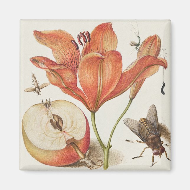 Vintage botanische Illustration Magnet (Vorne)
