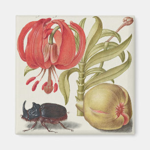 Vintage botanische Illustration Magnet