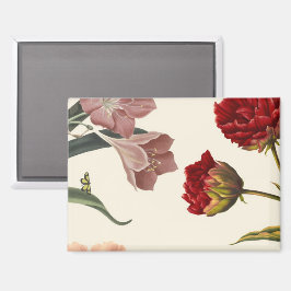 Vintage botanische Illustration mit verschiedenen  Magnet
