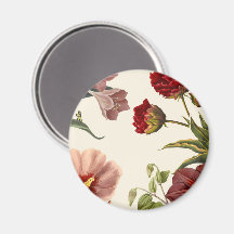 Vintage botanische Illustration mit verschiedenen