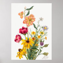 Vintage botanische Illustration