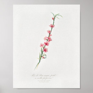 Vintage botanische Illustration Poster