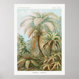 Vintage botanische Illustration Poster