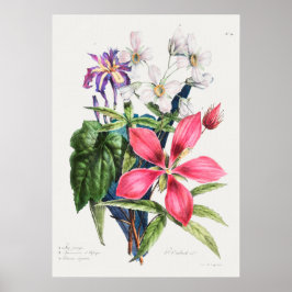 Vintage botanische Illustration Poster
