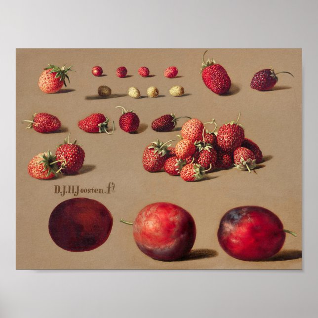 Vintage botanische Illustration Poster (Vorne)