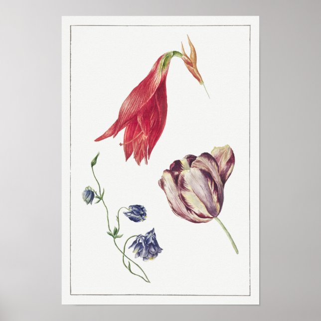 Vintage botanische Illustration Poster (Vorne)