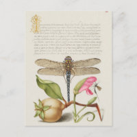Vintage botanische Illustration