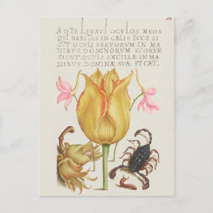 Vintage botanische Illustration Postkarte