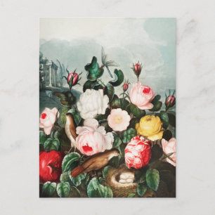 Vintage botanische Illustration Postkarte