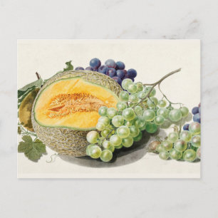 Vintage botanische Illustration Postkarte