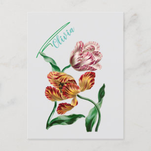 Vintage botanische Illustration Postkarte