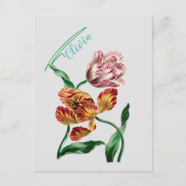 Vintage botanische Illustration Postkarte (Vorderseite)