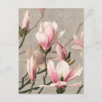 Vintage botanische Illustration Postkarte